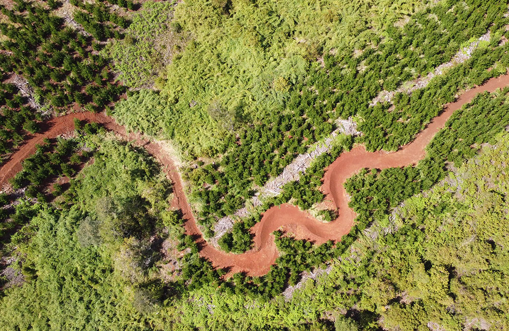 Bike Park Sendero Temuco